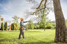 Best Commercial Tree Services  in Belle Plaine, MN